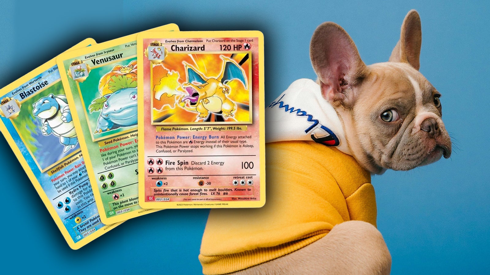 Dog Breeders Are Offering Puppies in Exchange for Pokemon Cards